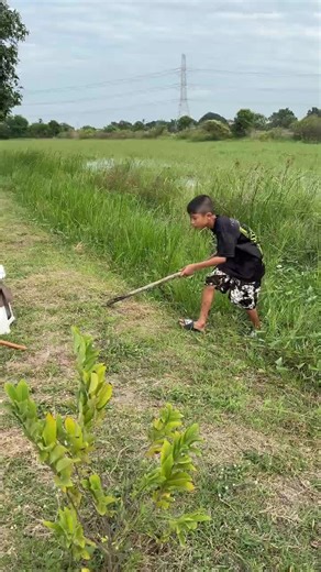 #LIVEIncentiveProgram#LIVEFEST2026#MakeLIVEcount#Paidpartnership | live fest