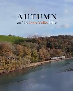 Autumn is such a special time to ride the Looe Valley Line ✨ Plan your trip: https://greatscenicrailways.co.uk/lines/looe-valley-line/ | Devon & Cornwall's Great Scenic Railways
