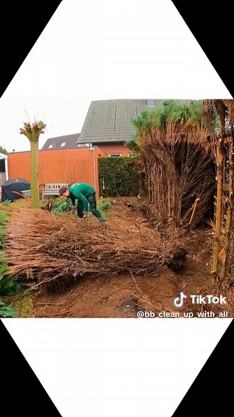 #BB #Clean #type #ALL