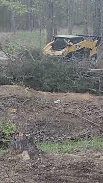 Brush Cleanup with CAT Skid steer and Grapple/Root Rake! #skidsteer