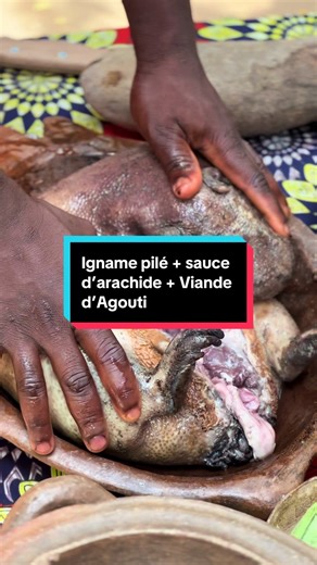 Igname pilé sauce d’arachide Viande d’Agouti 😋 @Restaurant HWENDO MAN BOU Rendez-vous du 14 au 15 février pour la fête de Saint Valentin 💌 Amour et traditions chez @MAISON JOLYDERM #saintvalentin #reels #fyp #cuisine #tiktokbeninois🇧🇯🇧🇯🇧🇯🇧🇯