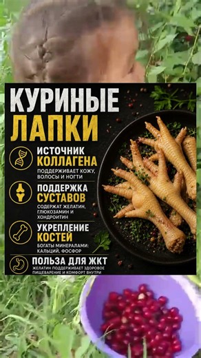 Куриные лапки источник коллагена