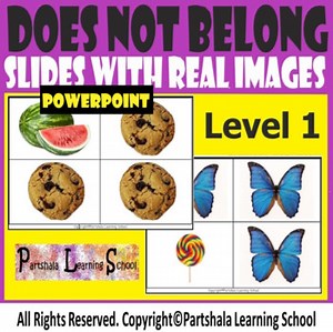 What Does Not Belong Level 1  Flash Task Slides with Real Images. POWERPOINT