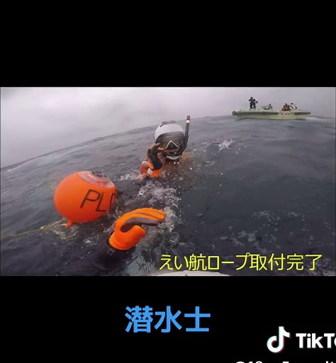 #海上保安庁 #海保 #人命救助 #潜水士 #海猿 #転覆船 #fyp