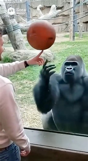 He can’t believe it 😱