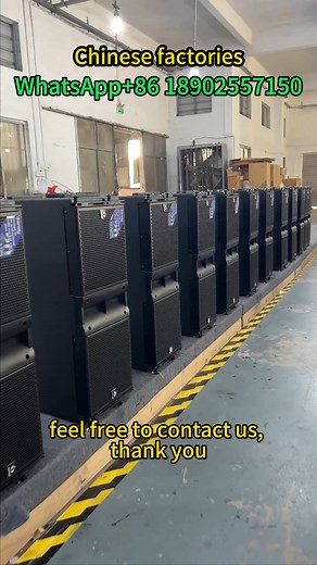 8.1K views · 122 reactions | Double 10 inch Active Linear Array...