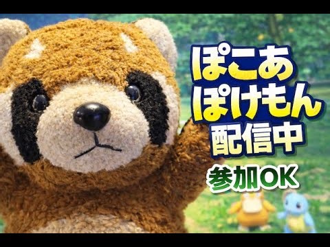 【参加OK】ぽこあポケモン配信中！ ポン太と冒険#3