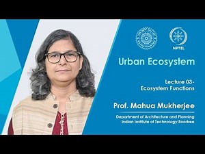 Lecture 3: Ecosystem Functions