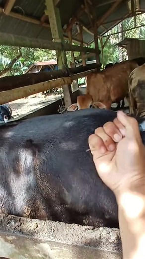 Creative Video Compilations That Will Make You Smile