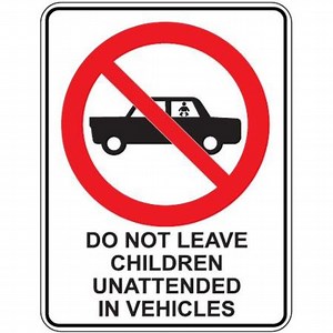 Police Warn to Never Leave Children Alone in Cars