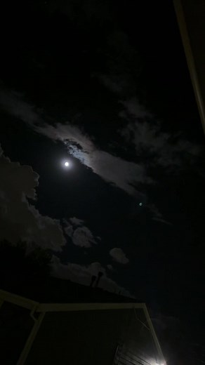 angelak_75 (@angelhubq0g)’s videos with TO THE MOON - JNR CHOI & Sam Tompkins