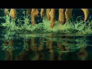 Musiques du monde World music موسيقي عالمية