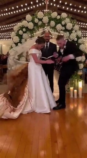 The bride couldn't hold back her emotions, and the entire wedding venue descended into chaos.#microdrama #weddingtok #chaos #caughtoncamera #viralvideo