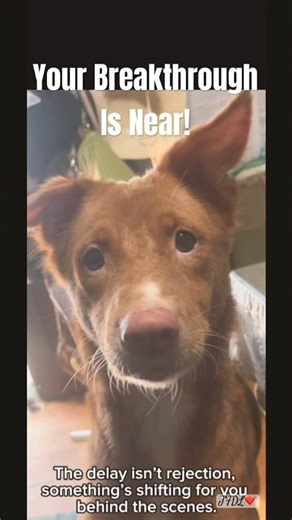 If You Knew What’s Coming, You’d Stop Crying Tonight | Luna Series