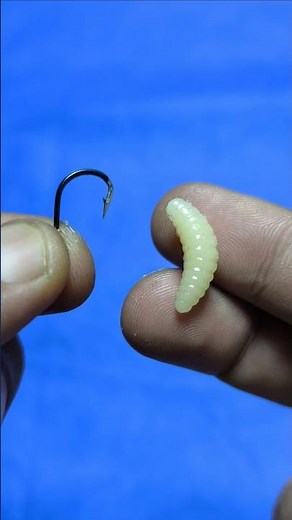 How to Put Bait on a Hook #fishing #tutorial