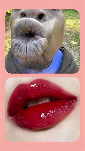 Choose One Challenge: Fun Decision-Making Game