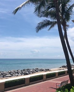 5.6K views · 462 reactions | From the swaying palms to the lull of the ocean, nature’s soundtrack brings us some peace. We hope the soft sounds of the waves bring you comfort and calm. | The Breakers Palm Beach | Facebook