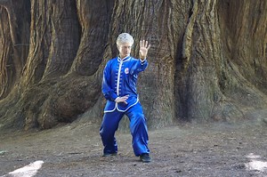 Xing Yi Quan's Five Element Fists