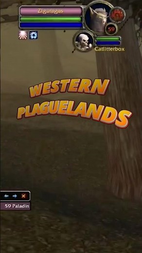 SNIPING HIGHER LVL IN WORLD PVP WOW TBC CLASSIC - Enh Shaman #wowclassic #wowtbc #worldofwarcraft