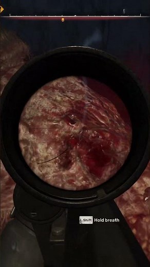 Stalker 2: How many shots needed to kill a Two-headed Chimera? #stalker2 #stalker2guide
