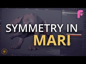 How to Speed up Texturing in Mari - Symmetry