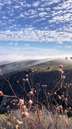8.5K views · 293 reactions | Serene moment on Santa Cruz Island 朗  | Ventura | Facebook