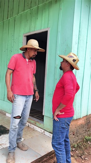 Lagartixa foi enganado | lagartixa tropical