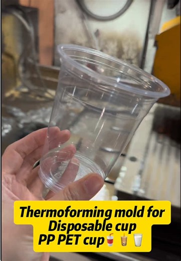Understanding Cup Thermoforming Machine Molds
