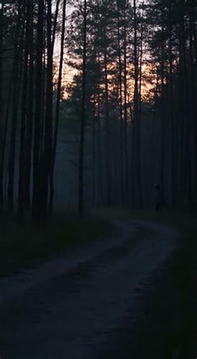 Warning: Lizard Man Captured Behind the Forest Tree – Raw Footage | UML-012#lizardman #urbanlegends