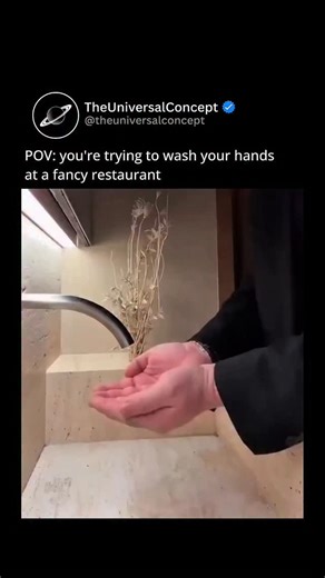 The Universal Concept on Instagram: "In a sleek, modern bathroom likely at an upscale restaurant, a well-dressed man stands at a minimalist sensor-activated sink and repeatedly tries to activate the faucet. He waves his hands dramatically in front of it, claps several times, presses invisible buttons in the air, taps the counter, and even performs exaggerated gestures, growing increasingly frustrated as nothing happens. After several failed attempts, he casually reaches over and lightly touches 