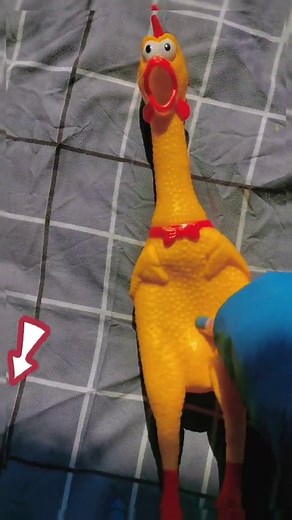 Squeaky Chicken Dog Toy: Yellow Rubber Squeaker Toy for Pets