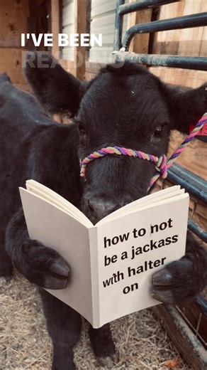 Tips for Reading Old Books