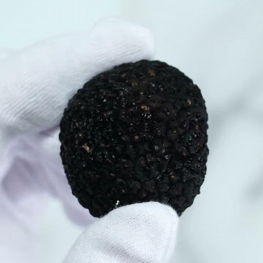 HOW TO TRUFF: How to Use a Truffle Shaver