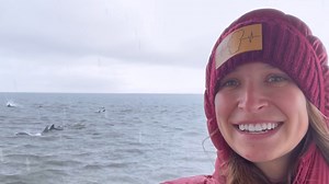 🔊 Sound on! It’s #DolphinAwarenessMonth, a time to honor and celebrate these brilliant beings. Video by OCR Media & Marketing Director, Daniela Huson. Dolphins are considered toothed whales, or ‘odontocetes.’ The oceanic dolphin family is large and diverse, with a total of 38 species found across the sea. The largest dolphin is the orca, and smallest is the Māui dolphin - a subspecies of the Hector's dolphin. Check the image in the comments for a graphic that illustrates the diverse array of oc