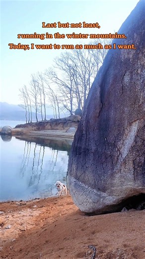 Last but not least, running in the winter mountains. #shorts #benny #pet #댕댕이 #반려견