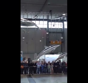 Watch: Flying manta ray and dolphins at drone convention