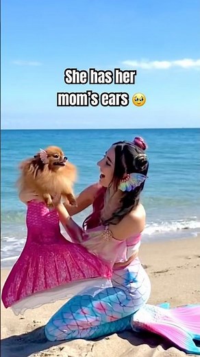 Pretty little baby! 😘 mermaid kisses her Mer-dog! #mermaiddog #mermaid #dog #mermaidtail #cutedog