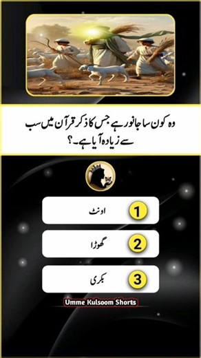 Islamic Sawal Jawab | General Knowledge #quran #islam #quiztime #paheliyan #commonsense #shorts