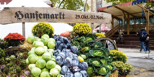 Hansemarkt 2025 Dortmund: Vier spannende Highlights auf dem Mittelaltermarkt