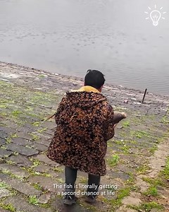 1.8K views · 24 reactions | Releasing fish back into the pond!  | Classic Cartoons | Facebook