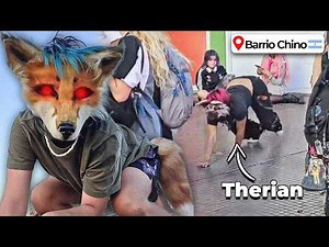 THE THERIANS - THE SUPER FURRIES
