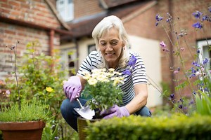 Get out in the garden! Here is a gardening checklist to go to work on