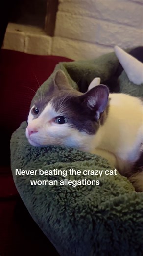 Cute Alien Baby Video with Cats