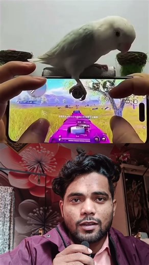 New Pubg Player #bgmi #pubgmobile #shorts