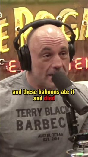 The Social Dynamics of Baboons - JRE
