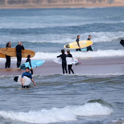 Harrowing details emerge after surfer killed by shark off popular beach