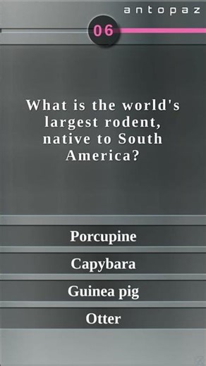 A friendly rodent. #quiz #games #braingames #animals #mammals #facts #trivia