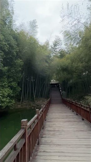 Peaceful Bamboo Temple Path in Yiwu 🎋✨