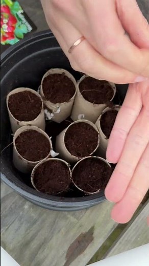 🌿🌱 Maak een Prachtige Tuin voor Bijna Geen Geld! 💚🏡 | Tygerhome.nl