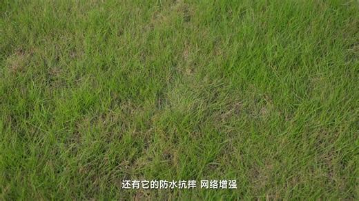 「WHYLAB」荣耀Power体验：8000mAh力大砖飞，干翻续航灭霸？#新知贺岁眼界大开#抖音精选#数码玩咖大派对#荣耀Power#荣耀Power续航长到